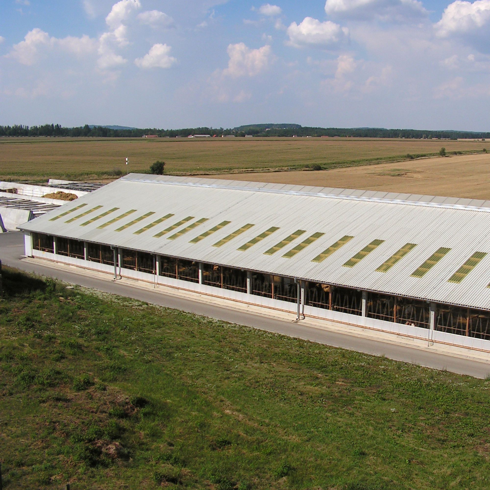 Montovaná zemědělská stavba pro chov skotu
